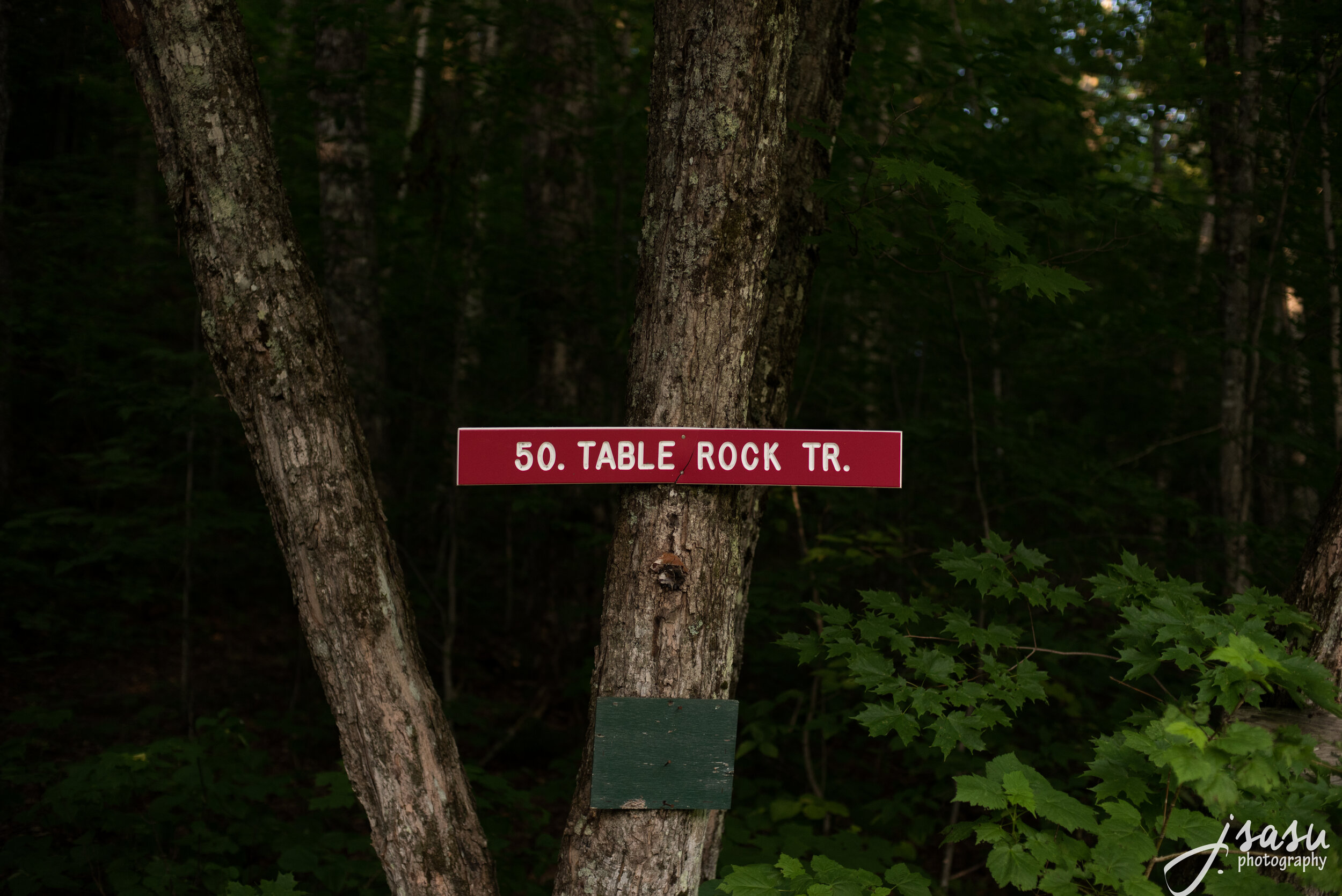 morganandbrianengagementgblog.jsasuphotography-17.jpg