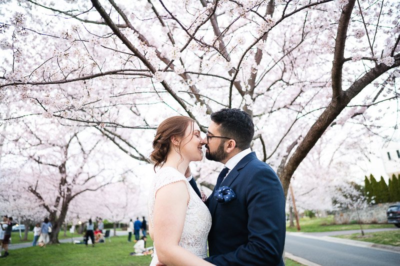 bethesda-maryland-cherry-blossom-elopement-wedding-photos-yara-eileen-jsasuphotography-5849.jpg