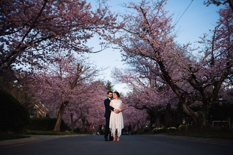 bethesda-maryland-cherry-blossom-elopement-wedding-yara-eileen-jsasuphotography-.jpg