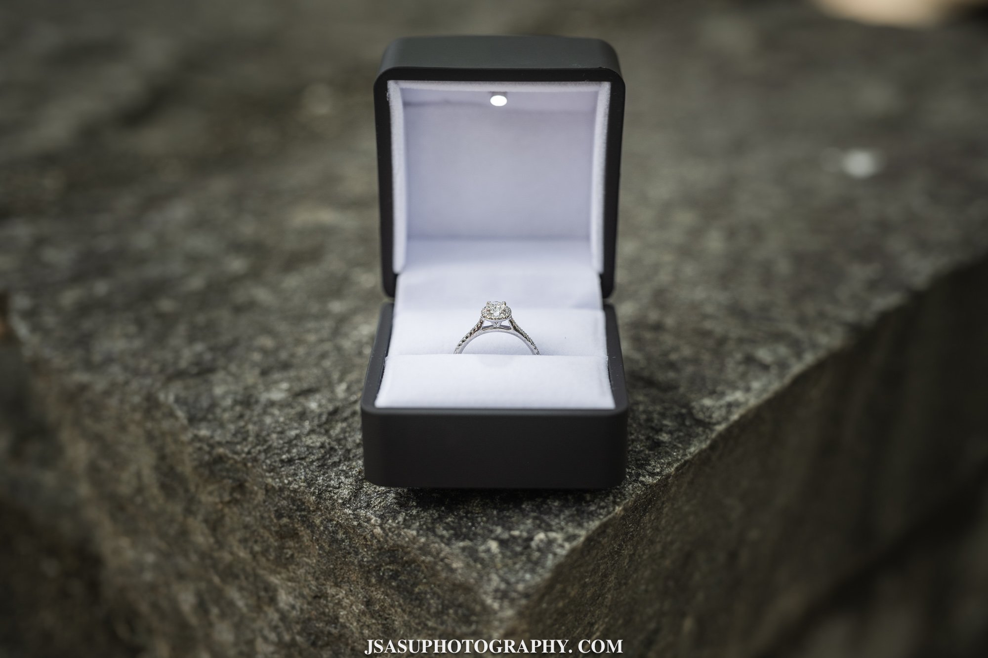 glenview-mansion-surprise-proposal-chisom-ifedayo-jsasuphotography-2.jpg