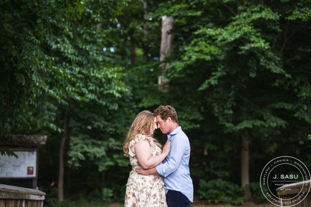 Theodore Roosevelt Island engagement photos on a wooded trail