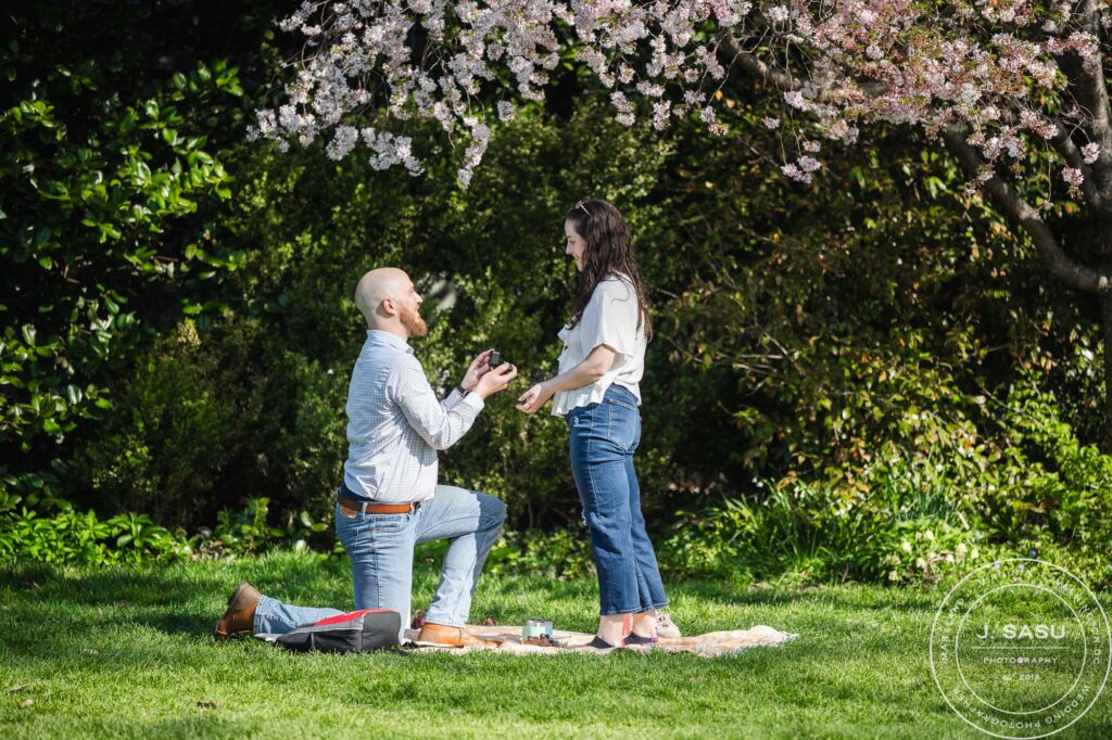 a man on a knee proposes with a ring box to his partner at the bishop's garden in washington dc's national cathedral 