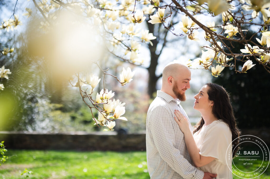 under a tree of magnolias, a couple holds each other for a photo a couple poses for a photo during their engagement session at the bishop's garden in washington dc's national cathedral 